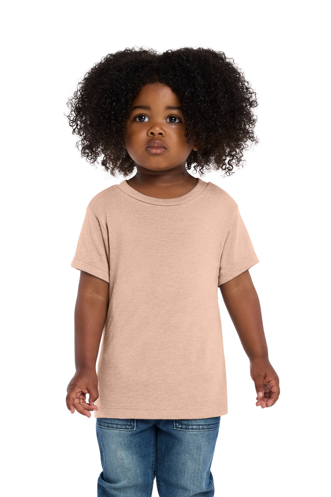 BELLA+CANVAS® Toddler Triblend Short Sleeve Tee BC3413T